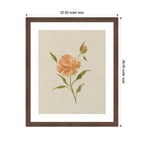 AQ Simple Bloom No 7 by Annie Quigley Framed Wall Art Print