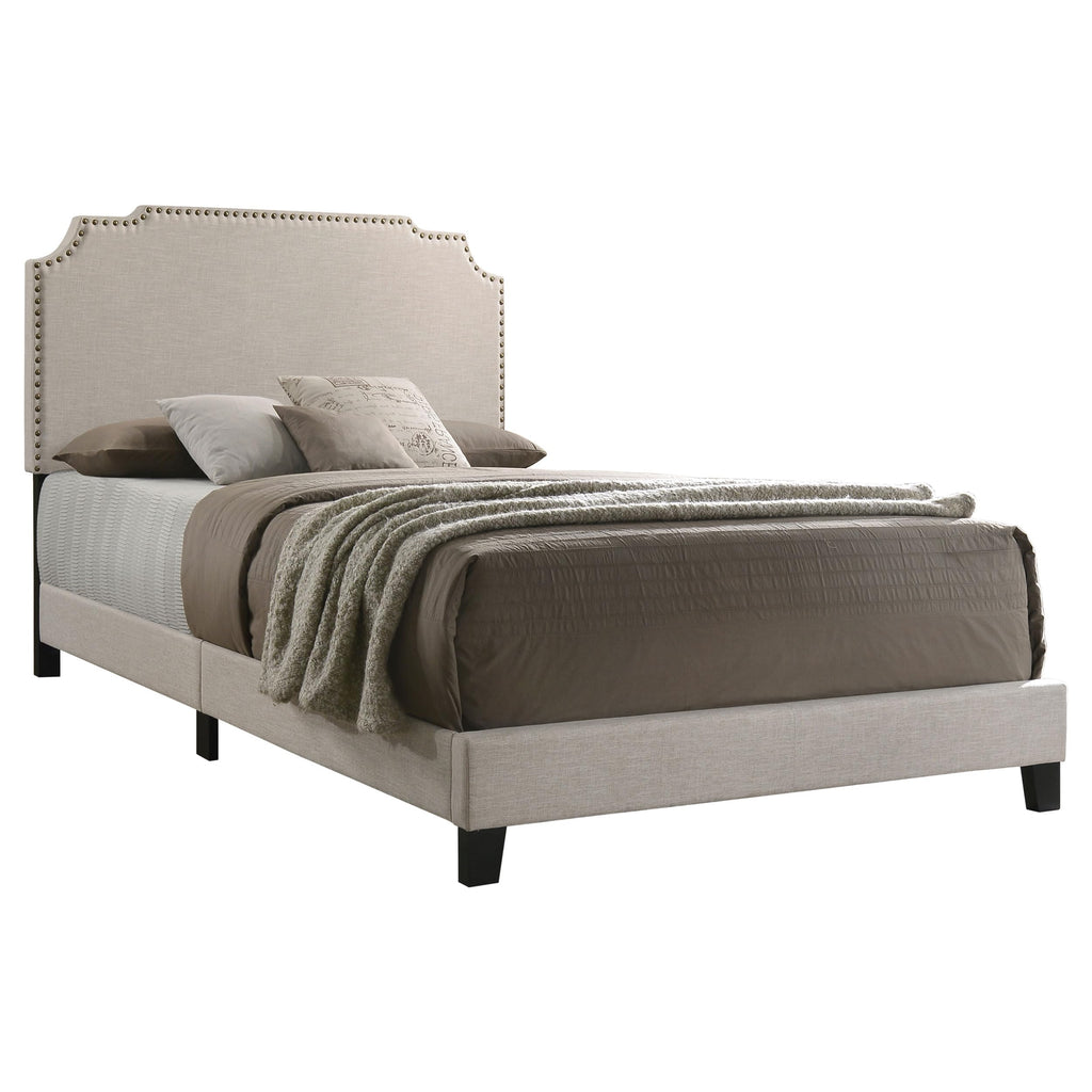 Coaster Home Furnishings Tamarac Transitional Fabric Upholstered Queen Size Panel Bed Frame 51-inch Headboard Beige 310061Q