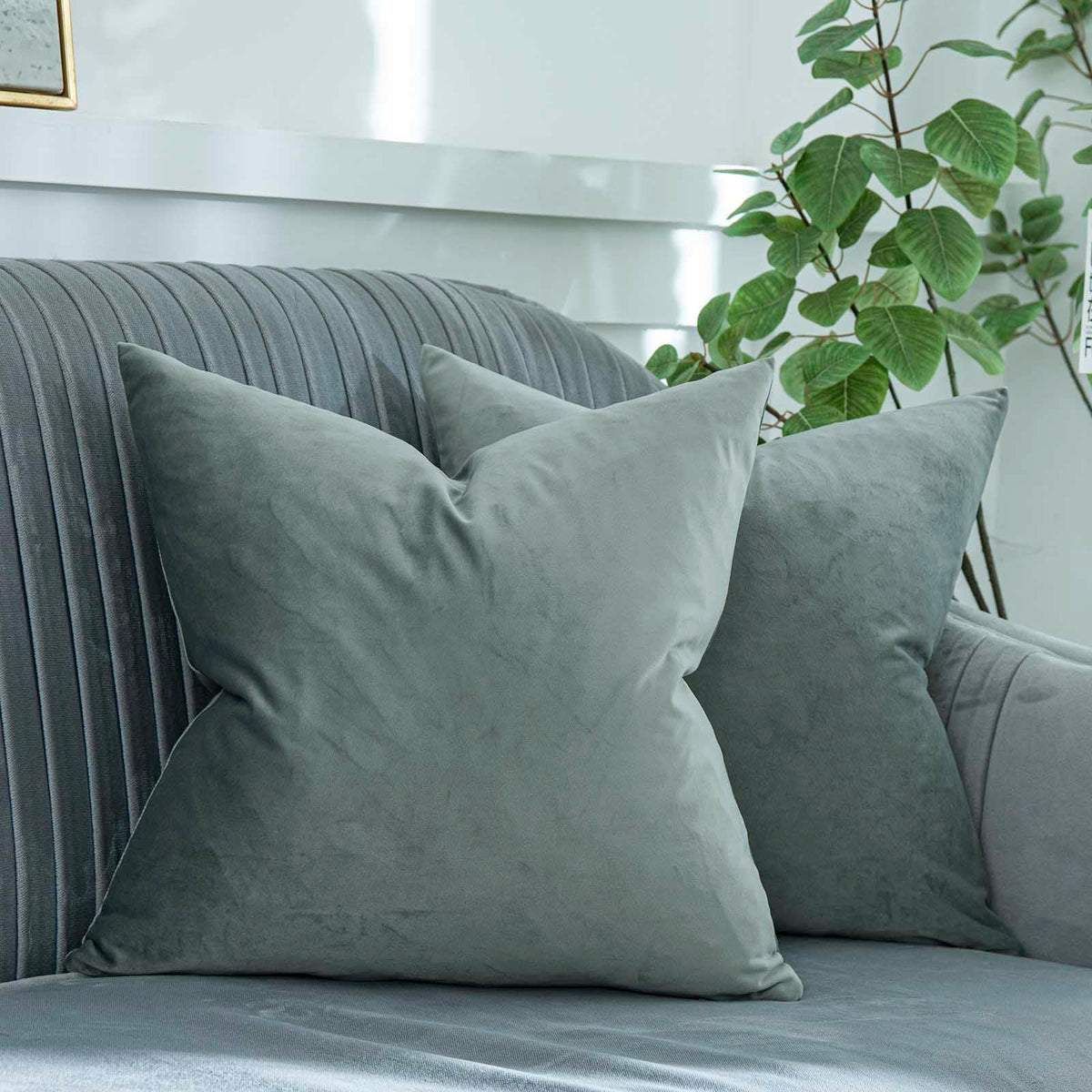 Quafoo Eucalyptus Decorative Velvet Throw Pillow Covers 28X28 Inch Set Of 2 With Zipper Luxury Soft Solid Square Cushion Covers