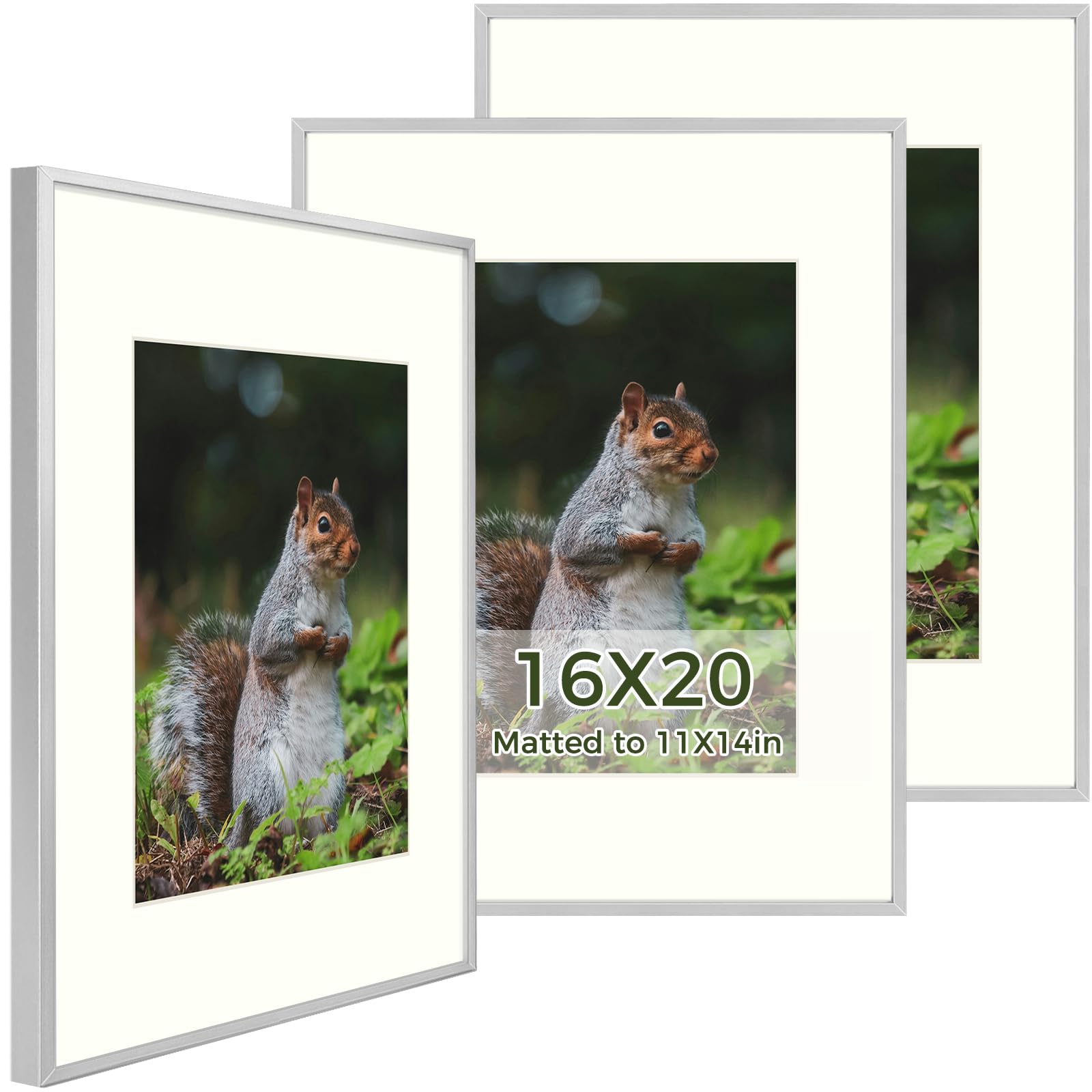 Golden State Art, 16x20 Aluminum Metal Frame with Ivory Mat for 11x14 Pictures, includes with Sawtooth Hangers and Spring Clips 