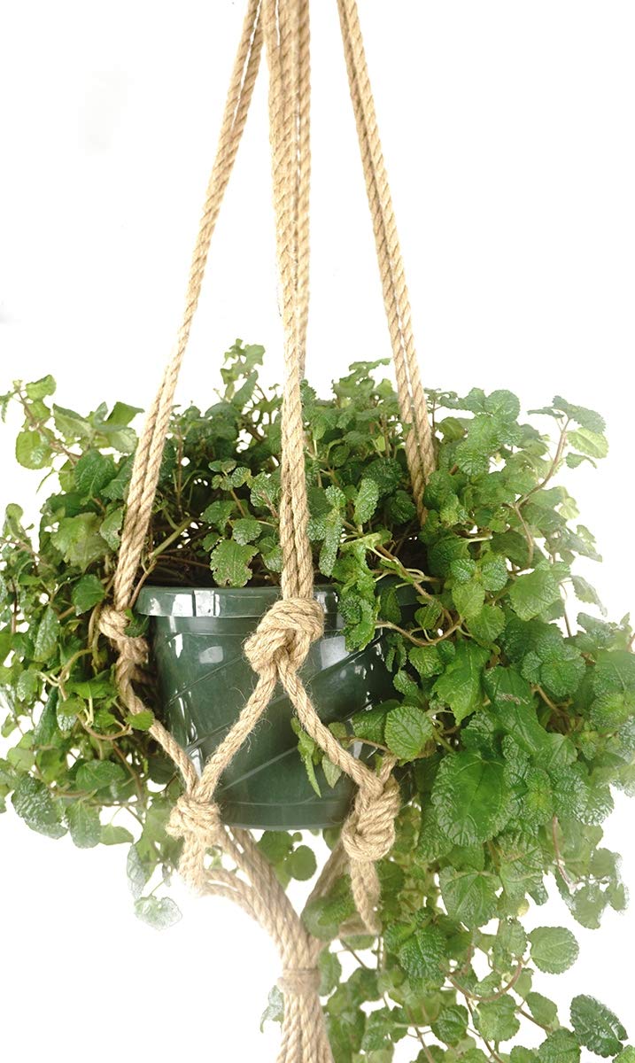 Primitive Planters 1432 36' Natural Knotted Rope Hanger