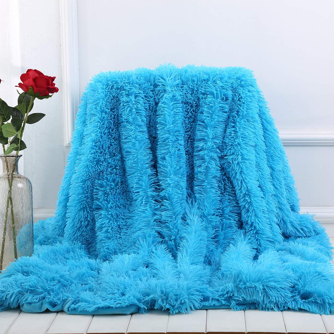 Plush Super Soft Blanket Bedding Sofa Cover Furry Fuzzy Fur Warm Throw Qulit Cozy Couch Blanket For Winter (51'X63', Sky Blue)