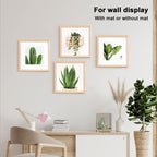 Kinlink 12X12 Picture Frames, Square Natural Wood Frames With Acrylic Plexiglass For Pictures 8X8 With Mat, Wall Mounting Displa