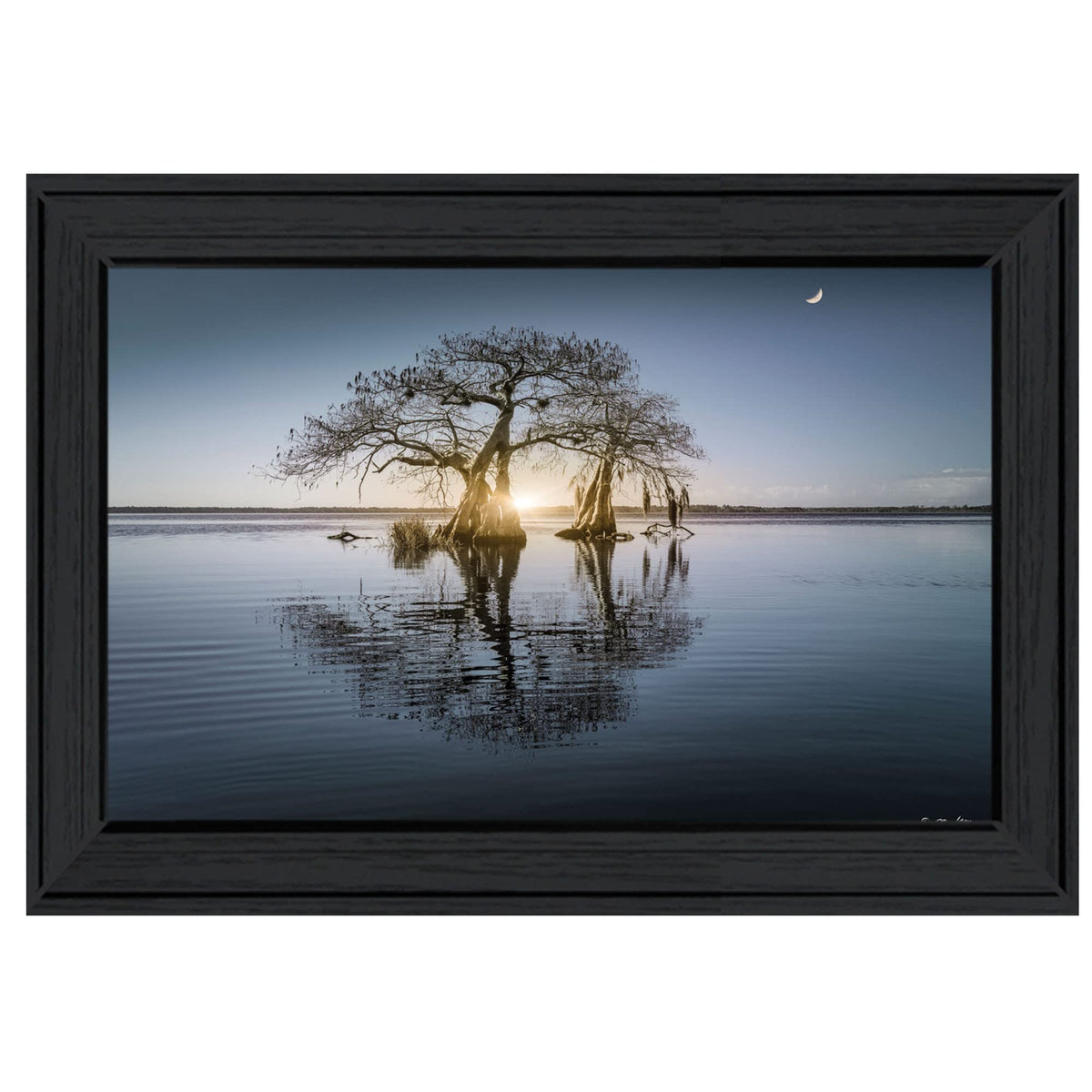 Tree Reflections 2 Black Framed Print Wall Art