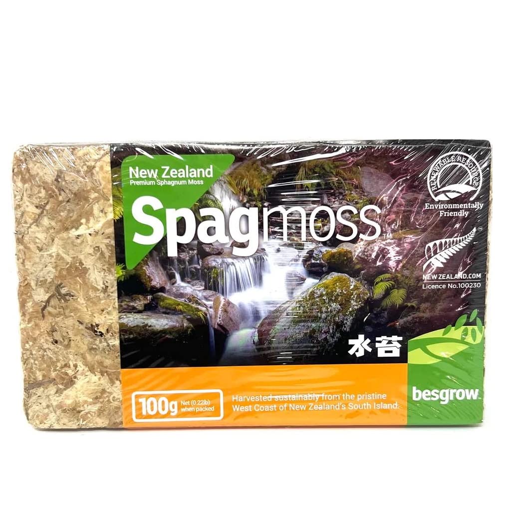 Spagmoss Premium New Zealand Sphagnum Moss Aa Grade (100 Gram)