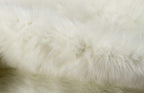 HomeRoots Decor 63-inch x 90-inch Off White, Polar Bear Faux Hide - Area Rug
