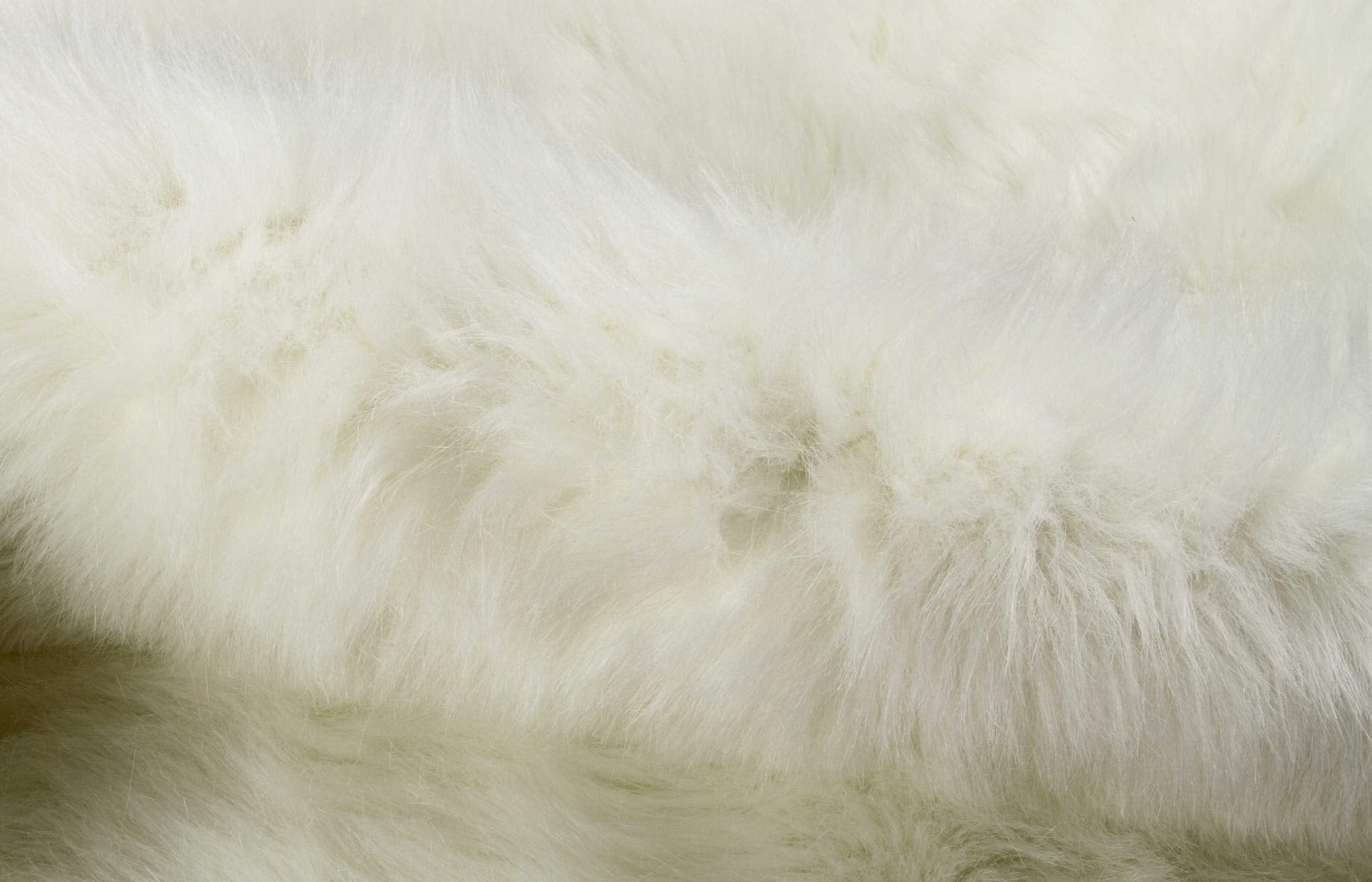 HomeRoots Decor 63-inch x 90-inch Off White, Polar Bear Faux Hide - Area Rug