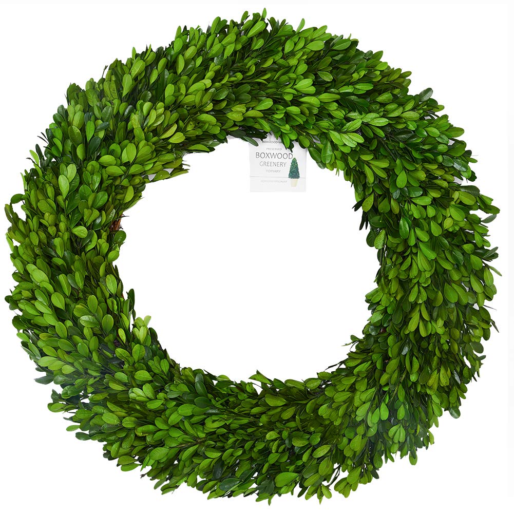 BOXWOOD VALLEY 24 inch XX-Large Preserved Boxwood Wreath, Wedding Home Decoration, Farmhouse Style Realistic Full Green Real Box
