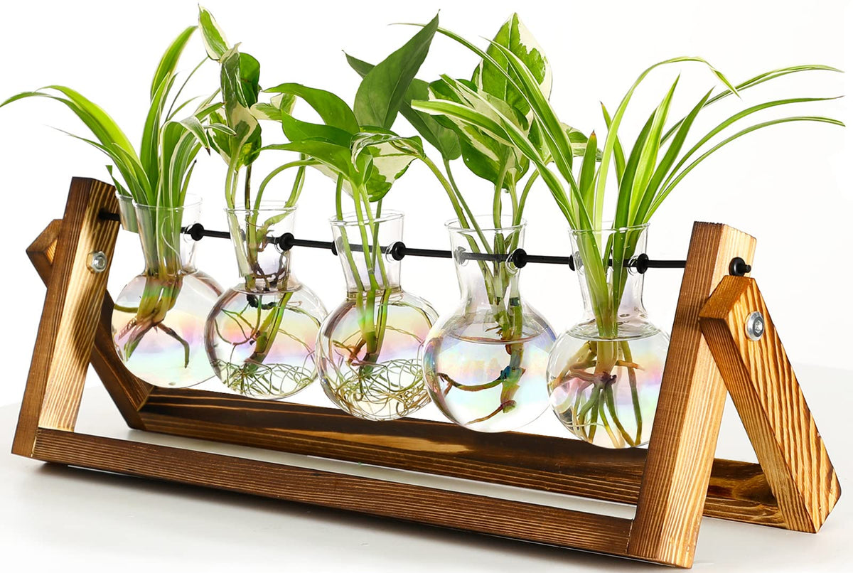 Xxxflower Plant Terrarium With Wooden Stand, Wall Hanging Glass Planter Tabletop Propagation Station Metal Swivel Holder Retro R