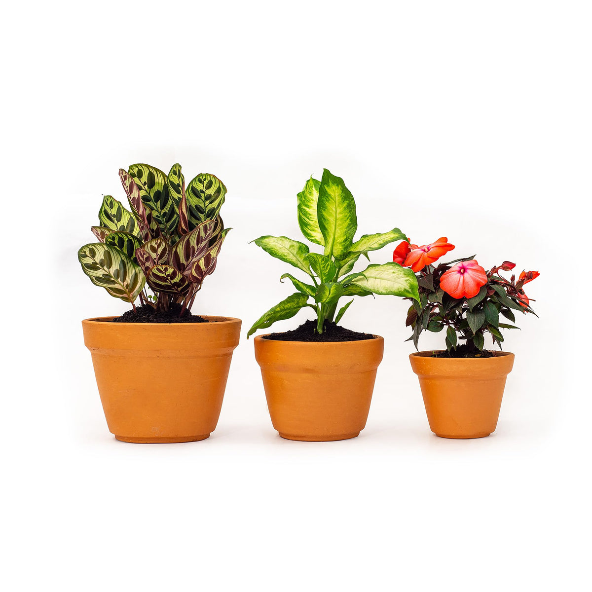 Abba Est. 1956 Artesano Iron Works Home Decor Planter Set, Crafted Clay Conical Pot Planter, 3 Piece Set, Terracotta