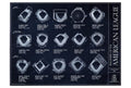 Ballparks of the American League Blueprint Style Poster