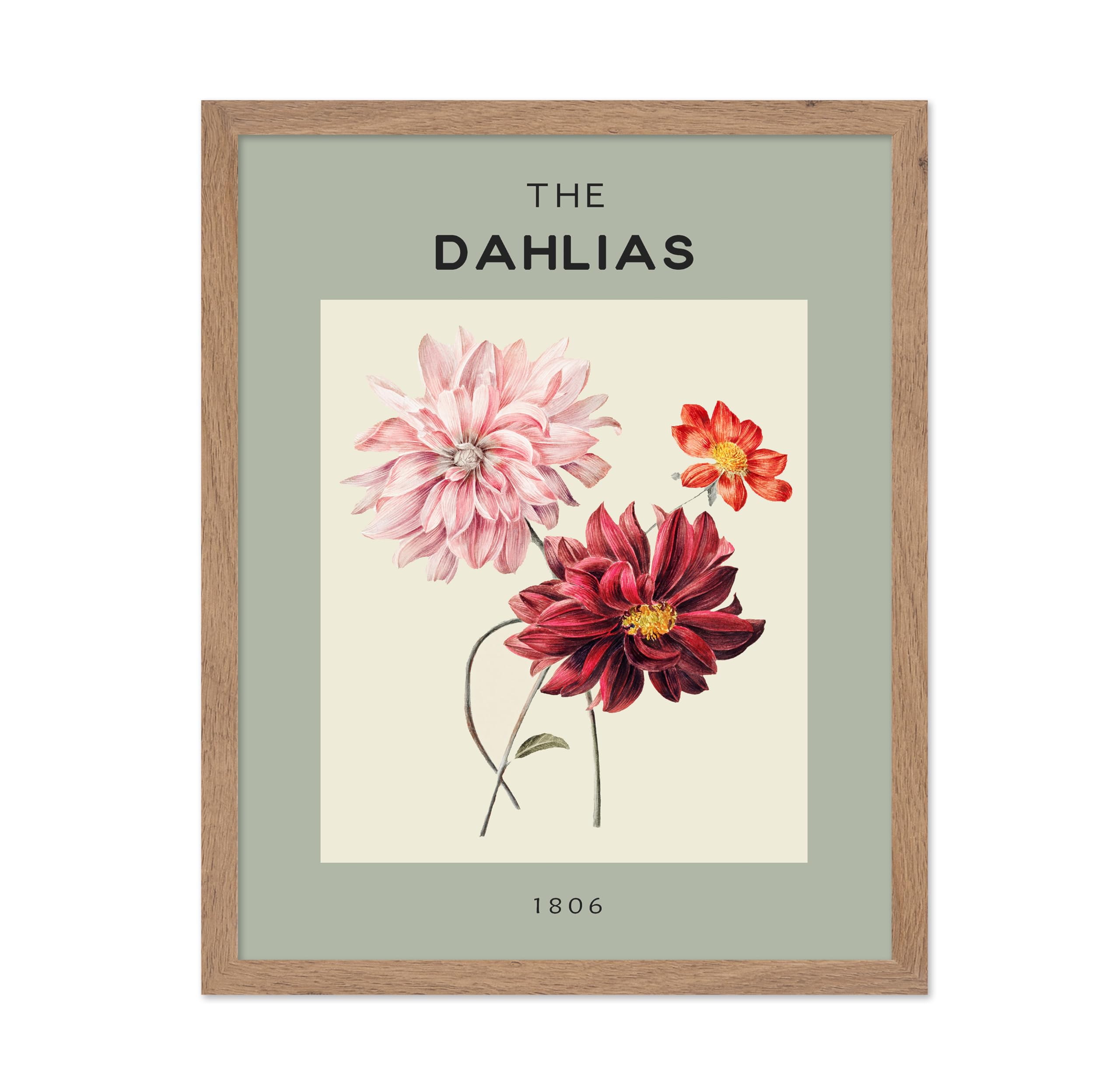 Poster Master Vintage Floral Poster - Retro Watercolor Print - The Dahlias, Pink & Purple Flowers, Minimalist - Gift for Friend,