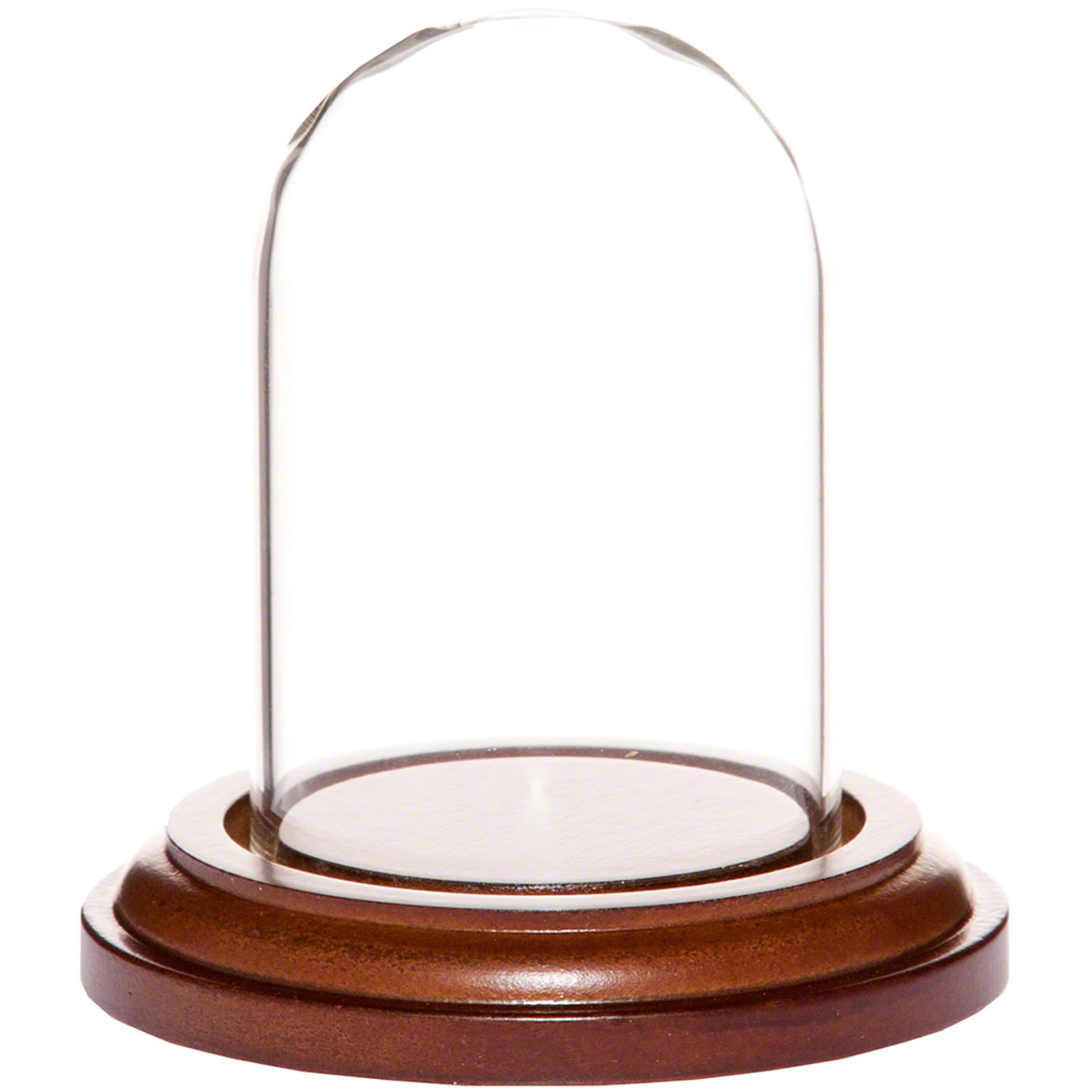 Plymor 1.85 x 2.875 Mini Glass Display Dome Cloche (Walnut MDF Base)