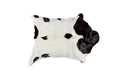 HomeRoots 316980 2 x 3 in. Calfskin Rug - White & Chocolate