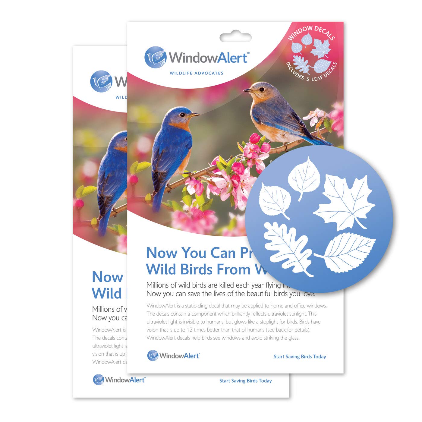 Windowalert Leaf Medley Anti-Collision Decal - Uv-Reflective Window Decal To Protect Wild Birds From Glass Collisions 2-Pack - M