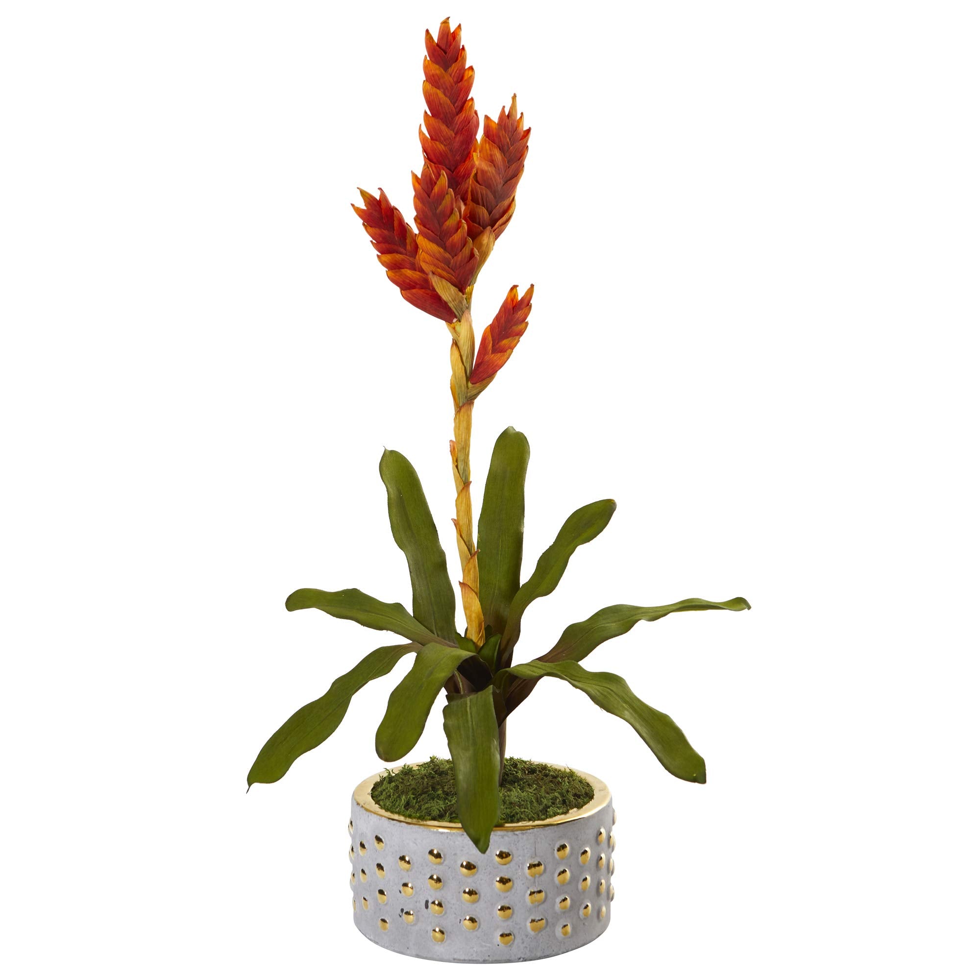 24 Tropical Bromeliad Artificial Plant In Bowl With Gold Trimming