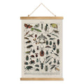 XIAOAIKA Vintage Entomology Poster - Illustrated Insect Species Chart with Wooden Frame - Educational Bug Identification Wall Ar