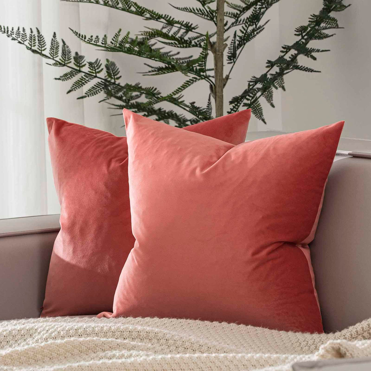 Juspurbet Coral Velvet Throw Pillow Covers 22X22 Inch Set Of 2 For Living Room Couch Sofa Bedroom Decorative Square Solid Soft C