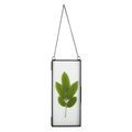 NCYP Small Double Glass Floating Frame for Photo, Picture, Pressed Dried Flowers - 4.1 x 9 - Wall Hanging Clear Artwork Display 