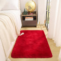Red Rug for Girls Bedroom 2x3, Fluffy Floor Rugs for Living Room Indoor Home Small Rug for Entryway Hallyway Kitchen Bedside Sof