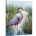 CANVAS ON DEMAND Marsh Heron I Canvas Wall Art Print by Tim O toole, Coastal, Contemporary, Home Decor, Animals, Bird Artwork, 
