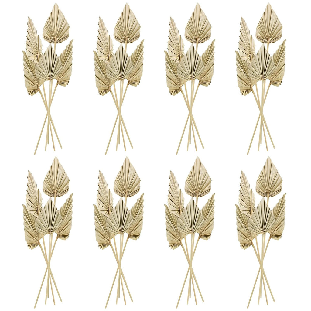 Chenkaiyang 40 Pcs Boho Dried Palm Spears Leaves Bulk, Small Natural Dried Real Palm Fans,Dried Palm Leaves with Stem Dried Leaf