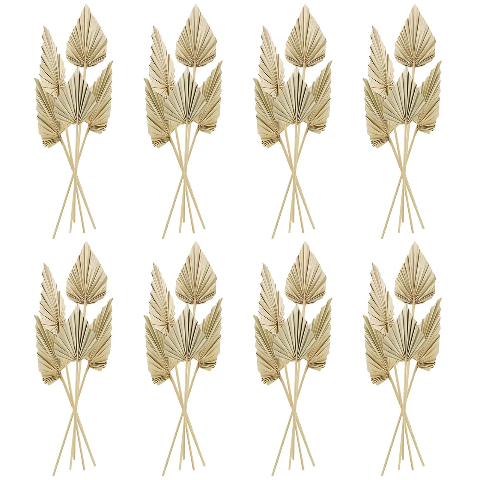 Chenkaiyang 40 Pcs Boho Dried Palm Spears Leaves Bulk, Small Natural Dried Real Palm Fans,Dried Palm Leaves with Stem Dried Leaf