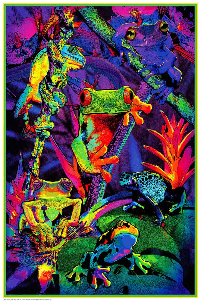 Studio B Tree Frogs - Non-Flocked Blacklight Poster 24 x 36 24 x 36 Paper