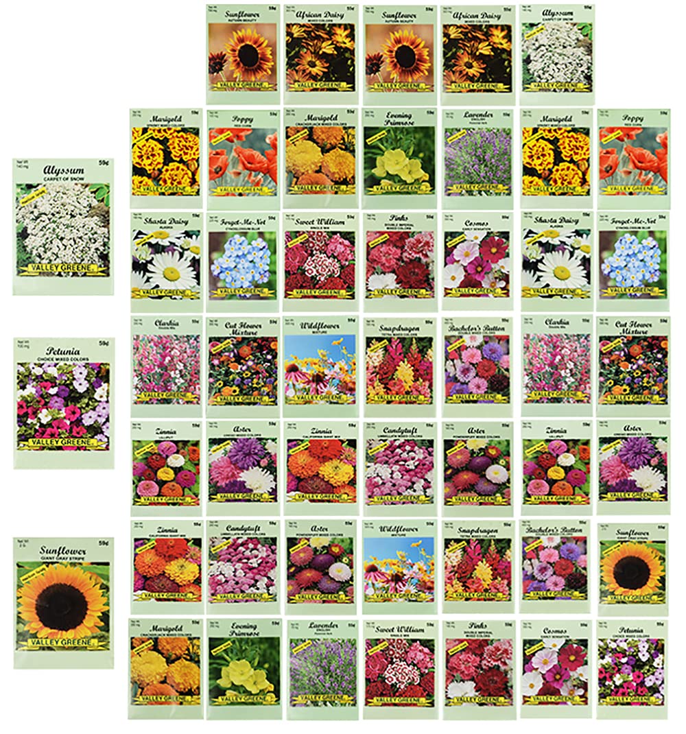 Set Of 50 Assorted Flower Seed Packets Flower Seeds In Bulk - 10 Varieties Available