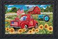 Briarwood Lane Land Of The Free Summer Doormat Patriotic Indoor Outdoor 30' X 18'