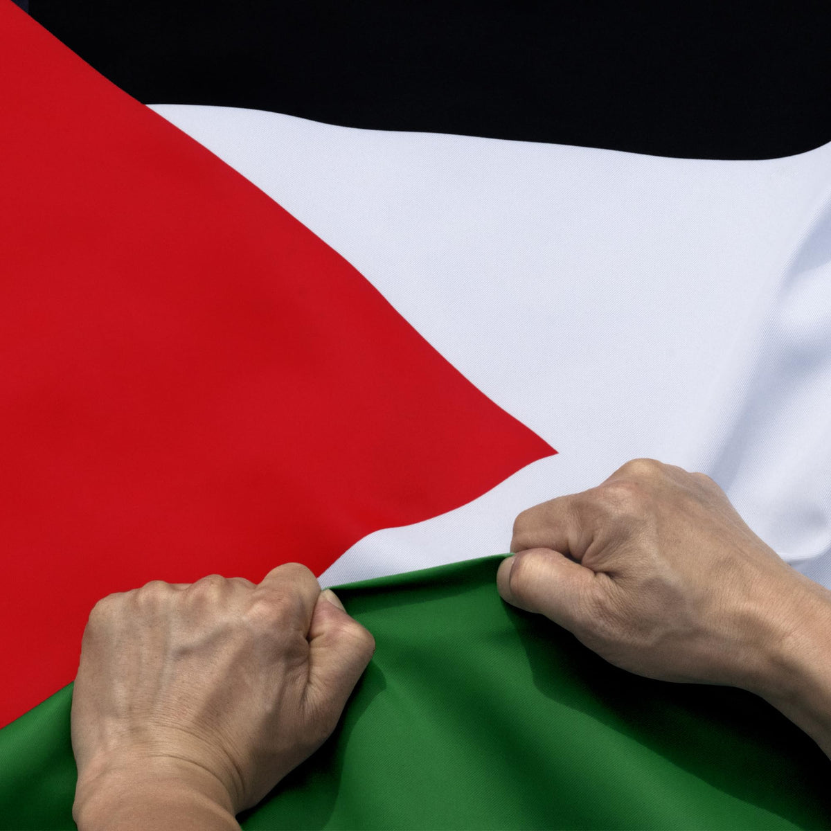 Anley Rip-Proof Double Sided 3-Ply Palestine Flag 3X5 Foot - Vivid Color, Canvas Header And Wrinkle Resistant - The Strongest, L