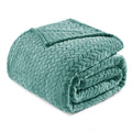 Exclusivo Mezcla Celadon Fleece Queen Size Blanket For Bed, 90X90 Inches Soft Cozy 3D Decorative Jacquard Flannel Blankets, Ligh
