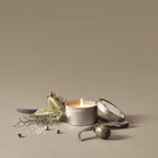 Thymes Highland Frost Travel Tin Candle - Petite Scented Candle With Sage, Eucalyptus, & Cypress Needle Home Fragrance - Silver