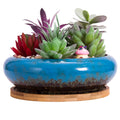 Artketty Succulent Pots, 6.1 Inch Large Succulent Planters Pots With Drainage Ceramic Bonsai Pots With Bamboo Tray Shallow Cactu