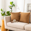 Nini All Decorative Throw Pillow Covers Pack Of 2, Velvet Cushion Case For Couch Bedroom Living Room Outdoor, Pillow Covers 24X2