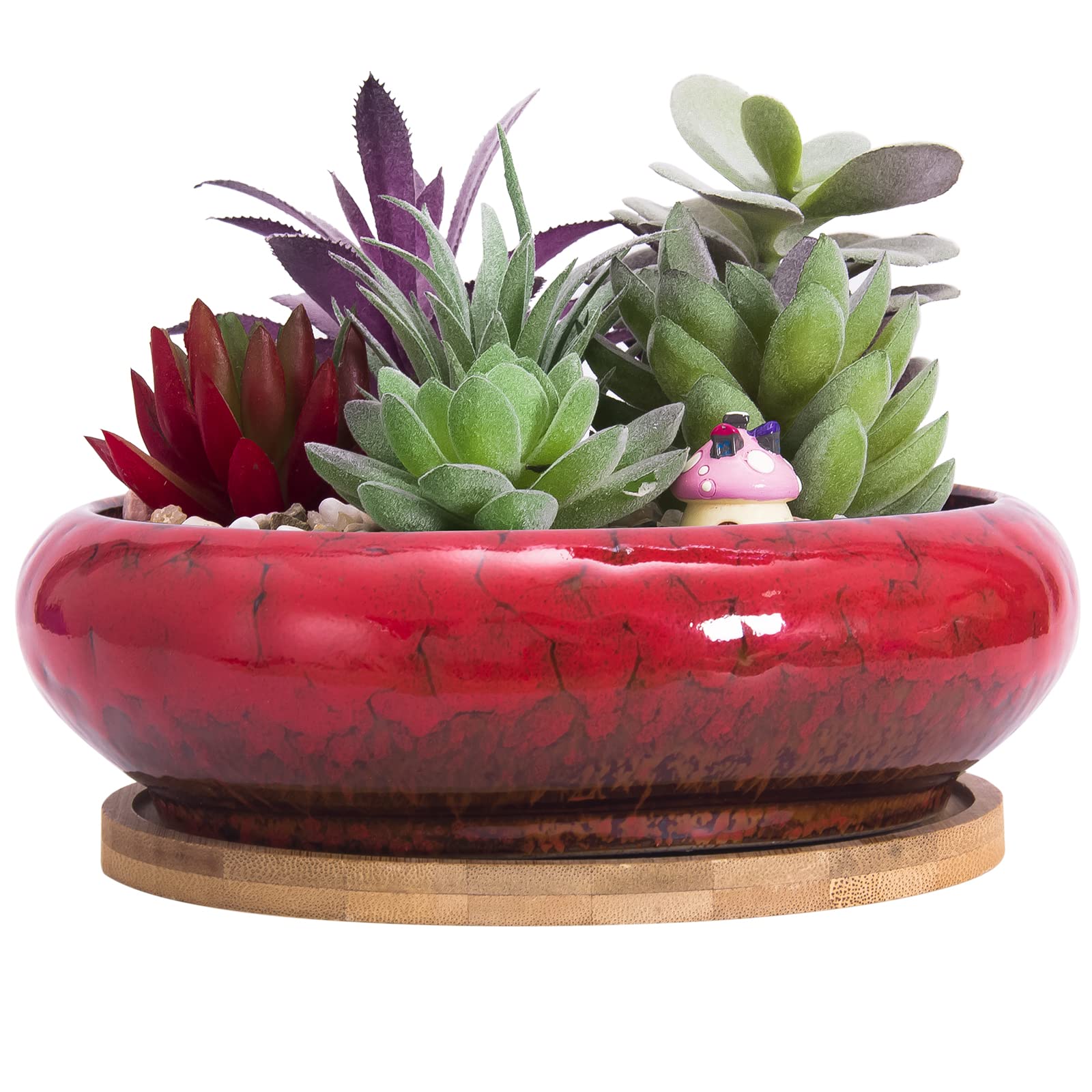 Artketty Succulent Pots - 6.1 Inch Large Succulent Planters With Drainage Shallow Bonsai Pots With Tray, Ceramic Cactus Planter