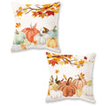 Onway Fall Pumpkins Pillow Covers 20X20 Inch Set Of 2 Farmhouse Autumn Thanksgiving Decor Lumbar Cushion Cases For Couch Home De