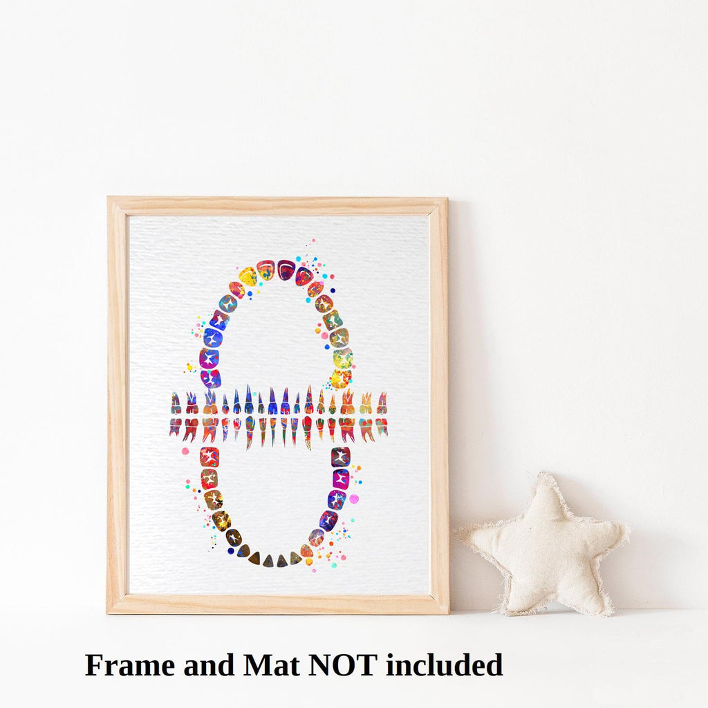Dignovel Studios 13X19 Unframed Tooth Chart Anatomical Art Dental Clinic Dentistry Science Watercolor Art Print Poster Dn565