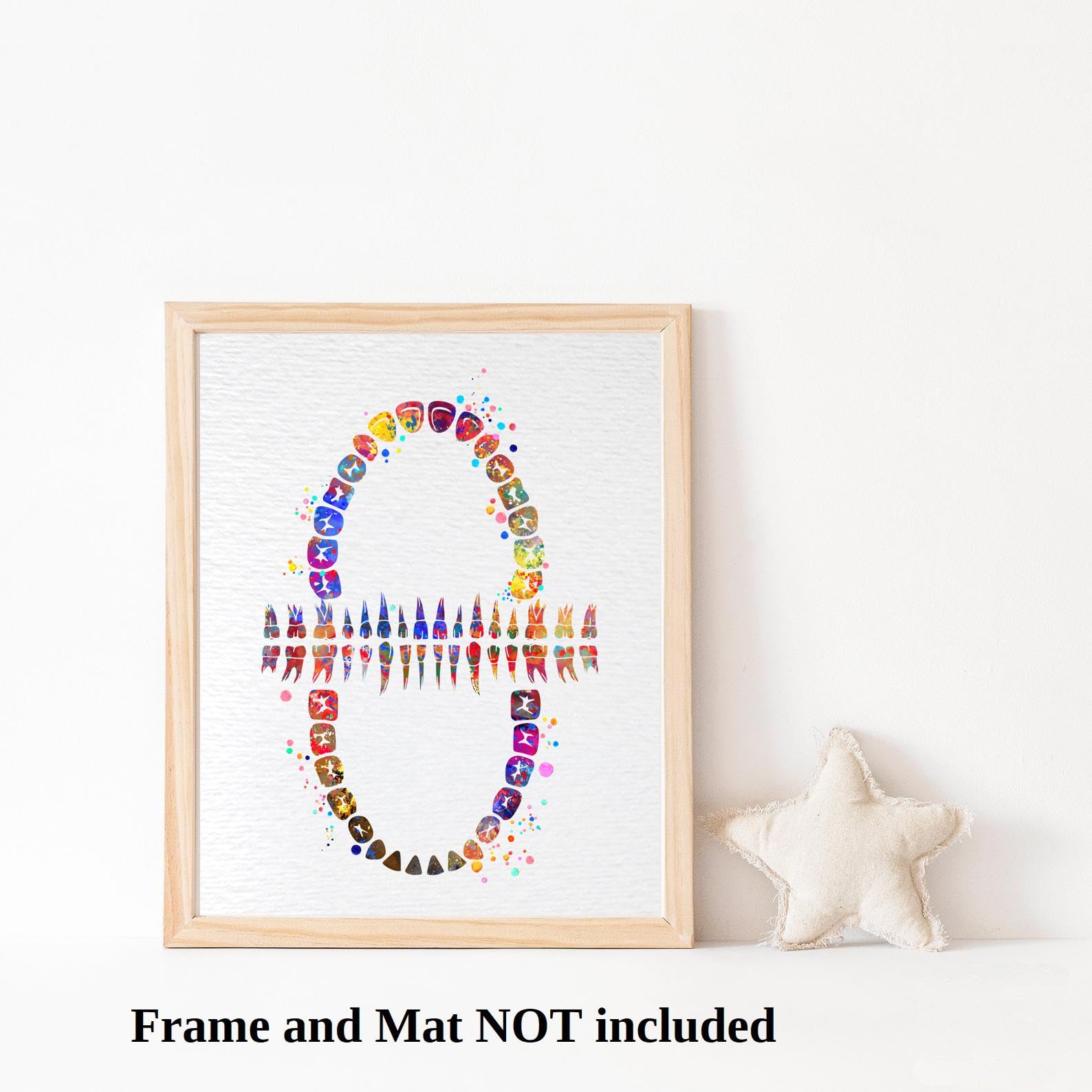 Dignovel Studios 13X19 Unframed Tooth Chart Anatomical Art Dental Clinic Dentistry Science Watercolor Art Print Poster Dn565