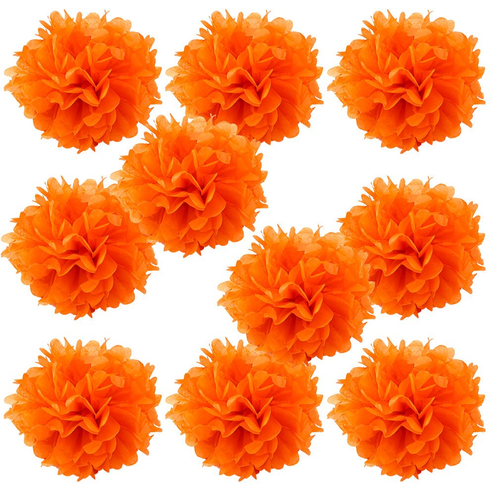 WYZworks Set of 10 - Coral 16 - (10 Pack) Tissue Pom Poms Flower Party Decorations for Weddings, Birthday, Bridal, Baby Showers,