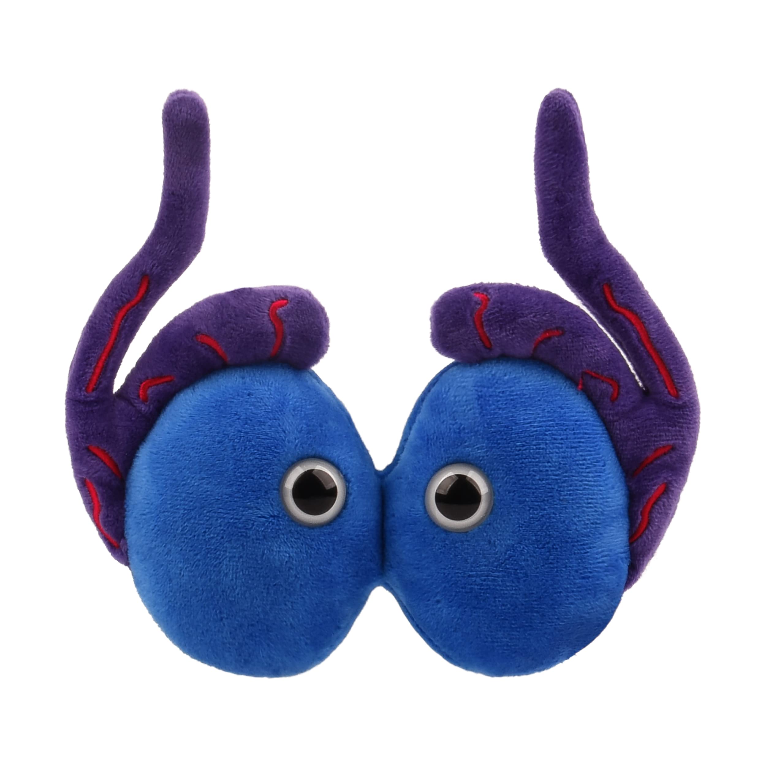 Giantmicrobes Testicle Plushie, Testicles Gift, Testicular Cancer Awareness, Vasectomy Gifts, Urology Gifts, Urology Nursing, Te