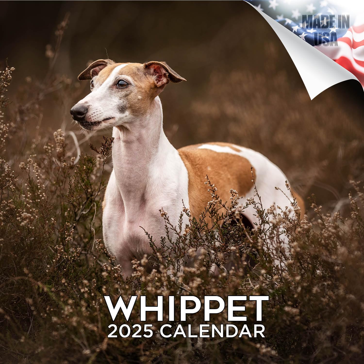 2024 2025 Whippet Calendar - Dog Breed Monthly Wall Calendar - 12 X 24 Open - Thick No-Bleed Paper - Giftable - Academic Teacher