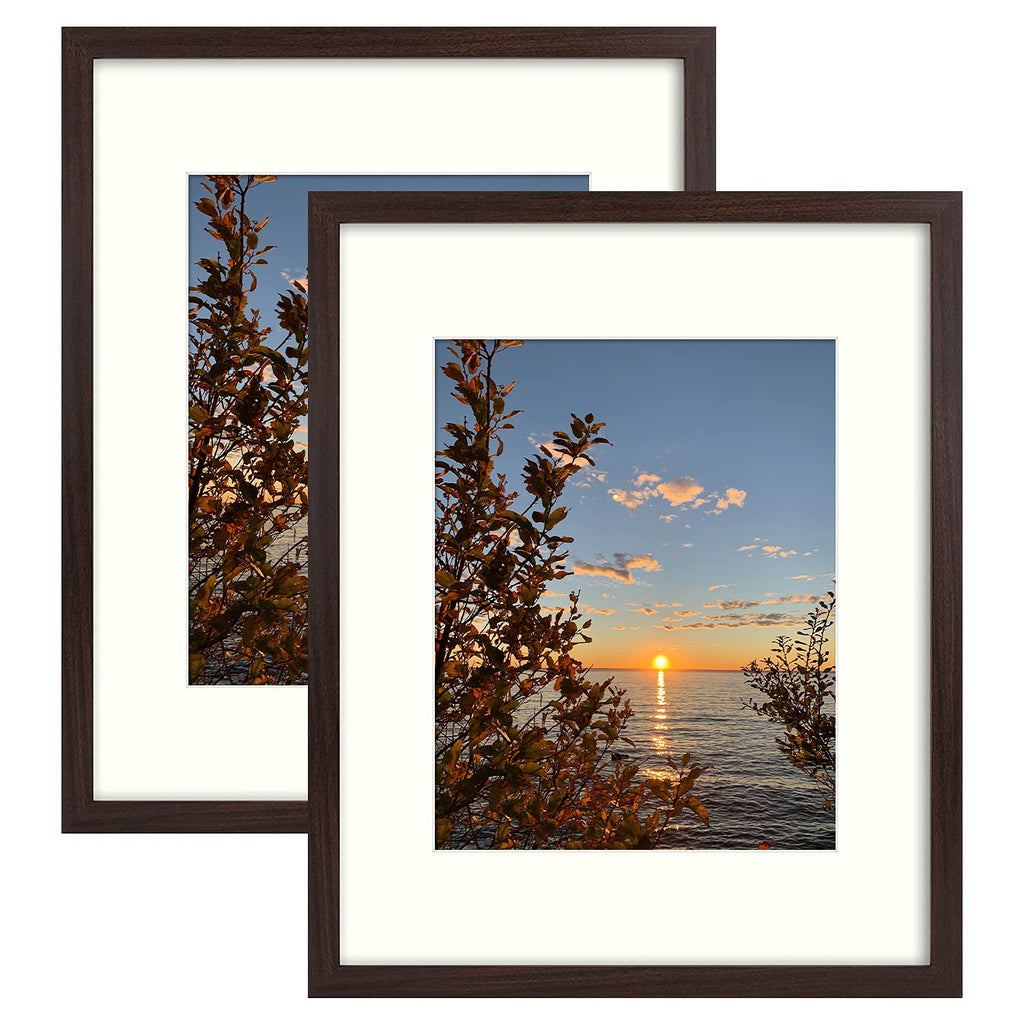 Golden State Art, Picture Frame - 16'' x 20'' Frame for 11'' x 14'' Photo Display, 2 Pack, Brown