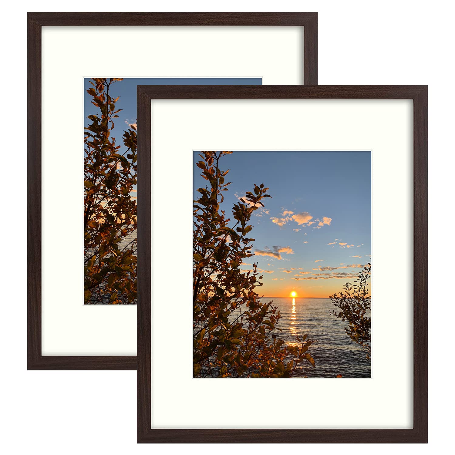 Golden State Art, Picture Frame - 16'' x 20'' Frame for 11'' x 14'' Photo Display, 2 Pack, Brown
