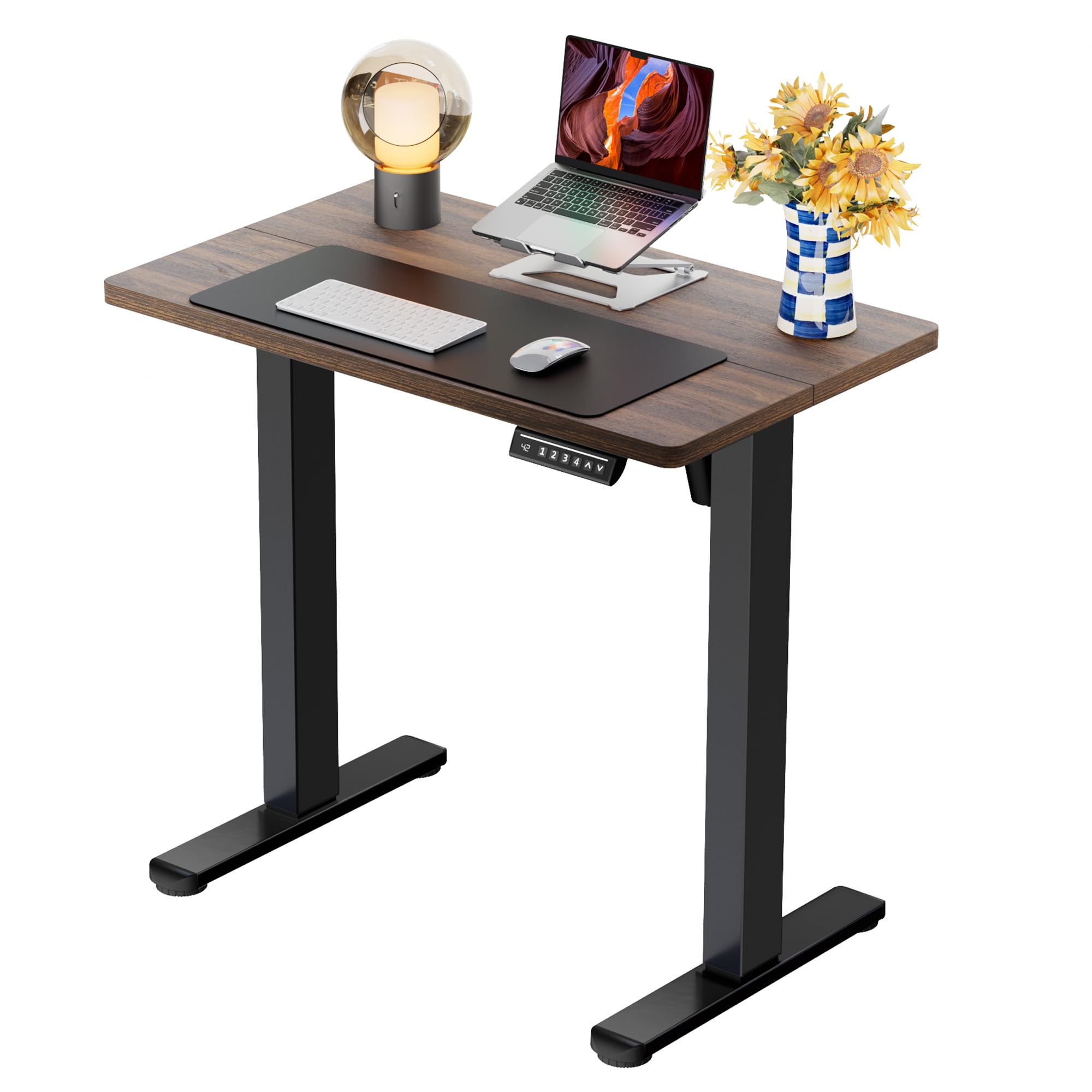 ErGear Height Adjustable Electric Standing Desk, 71 x 30 Inches Sit Stand up Desk, Memory Computer Home Office Desk, Dark Walnut