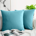 Jueyingbaili Throw Pillow Covers Velvet Decorative 2 Packs Ultra-Soft Light Green Pillowcase 18 X 18 Inch For Couch,Chair,Sofa,B