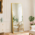 DUMOS Full Length Mirror with Stand 24x65 Floor Standing Aluminum Frame for Bedroom Body Hanging Leaning Modern Simple Home Deco