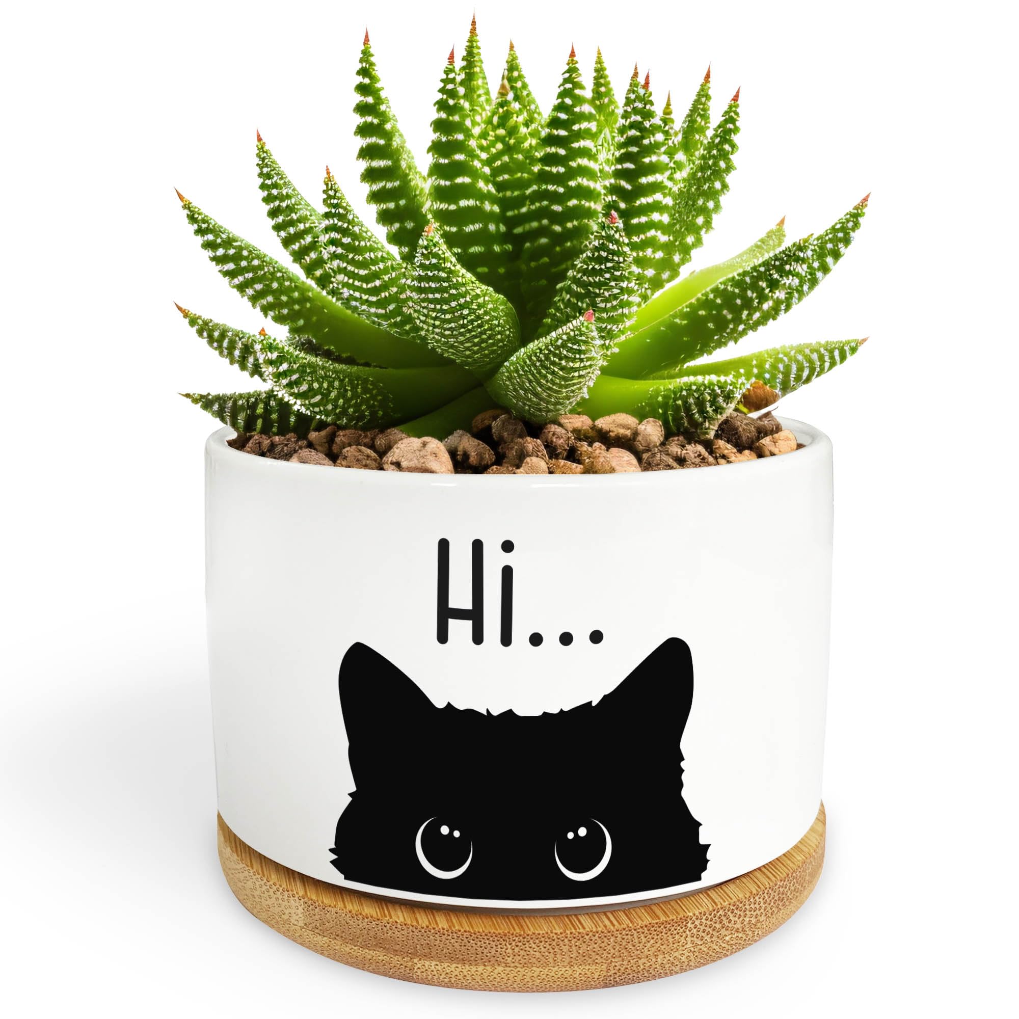Black Cat Ceramic Pot, Cute Planter Succulent Plant Pot With Drainage, Cactus Flower Porcelain Holder Container Home Office Deco