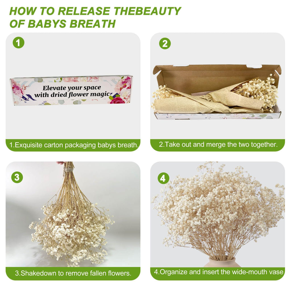 2000+ Dried Babys Breath Flowers Bulk - 17'' Ivory White Dried Flower Bouquet, Real Natural Gypsophila Branches For Vase Filler,