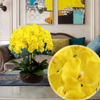 Fagushome 32 Inch Artificial Phalaenopsis Flowers 6 Pcs Artificial Orchid Flowers Stem Plants For Home D  Cor (Yellow)